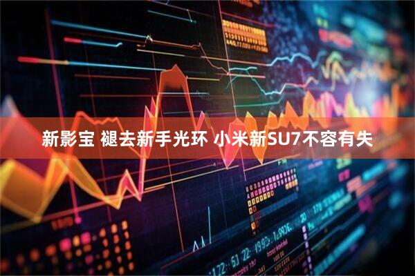 新影宝 褪去新手光环 小米新SU7不容有失