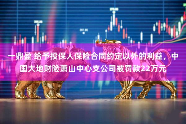 一鼎盈 给予投保人保险合同约定以外的利益，中国大地财险萧山中心支公司被罚款22万元