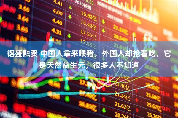 镕盛融资 中国人拿来喂猪，外国人却抢着吃，它是天然益生元，很多人不知道